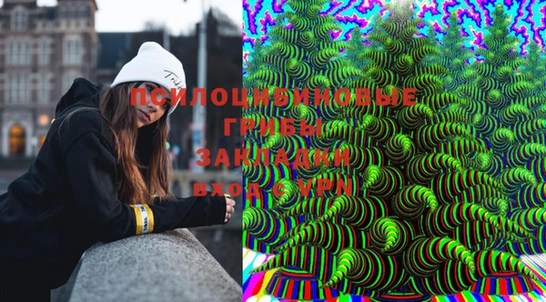 прущие грибы Ельня