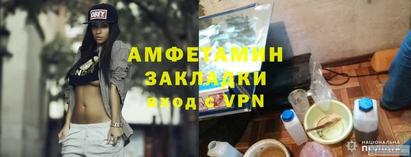 прущие грибы Ельня