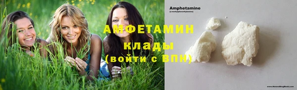 прущие грибы Ельня