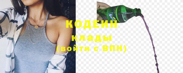 прущие грибы Ельня