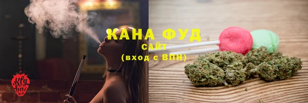 прущие грибы Ельня