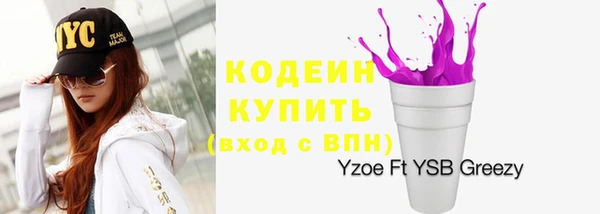 прущие грибы Ельня