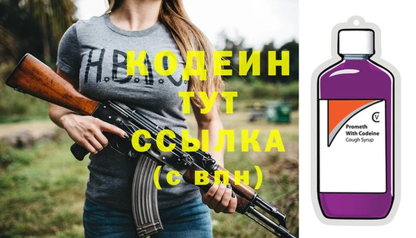 прущие грибы Ельня
