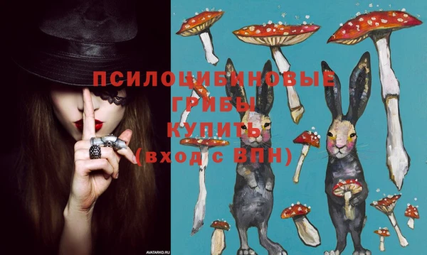 МДПВ Заводоуковск