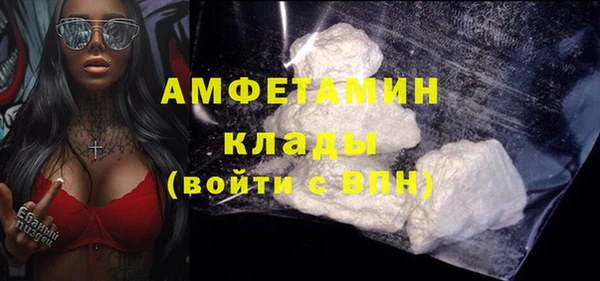 прущие грибы Ельня